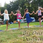 de-boom-groep